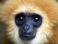 Click to view Costa Rica pictures